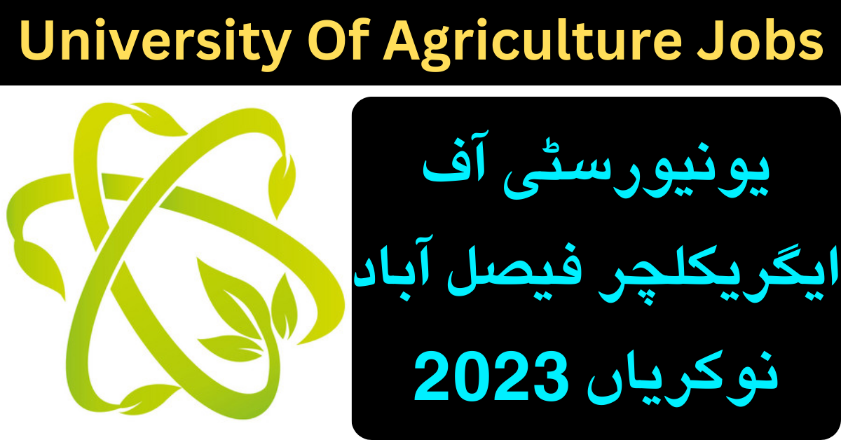 University Of Agriculture Faisalabad Jobs 2023