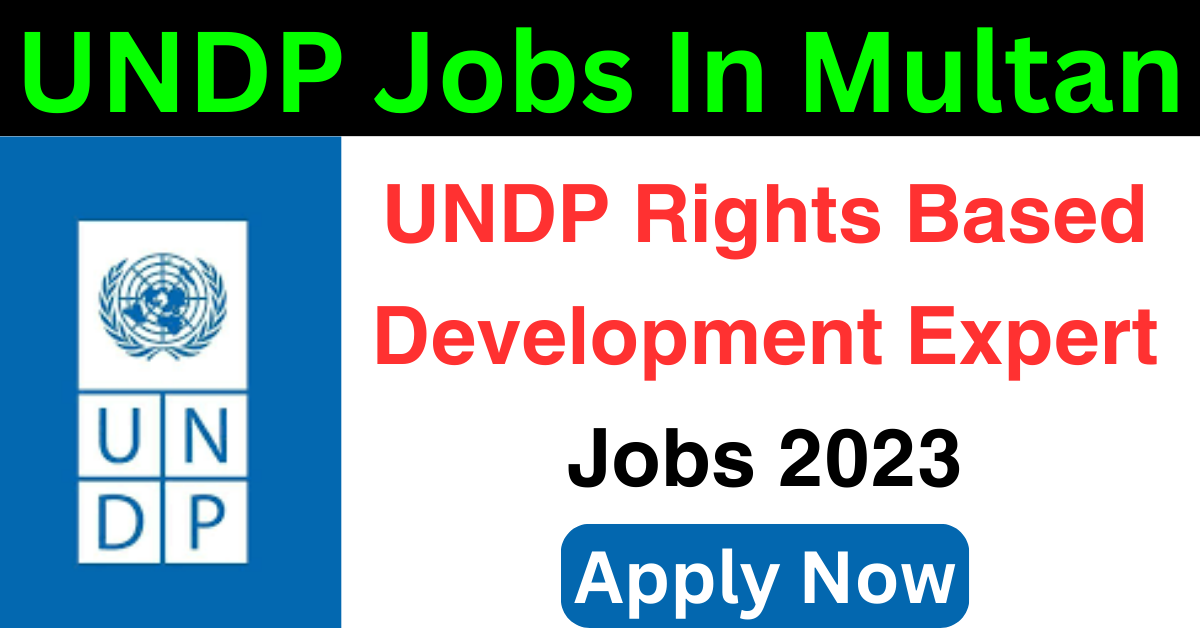 UNDP Rights Based Development Expert Jobs 2023